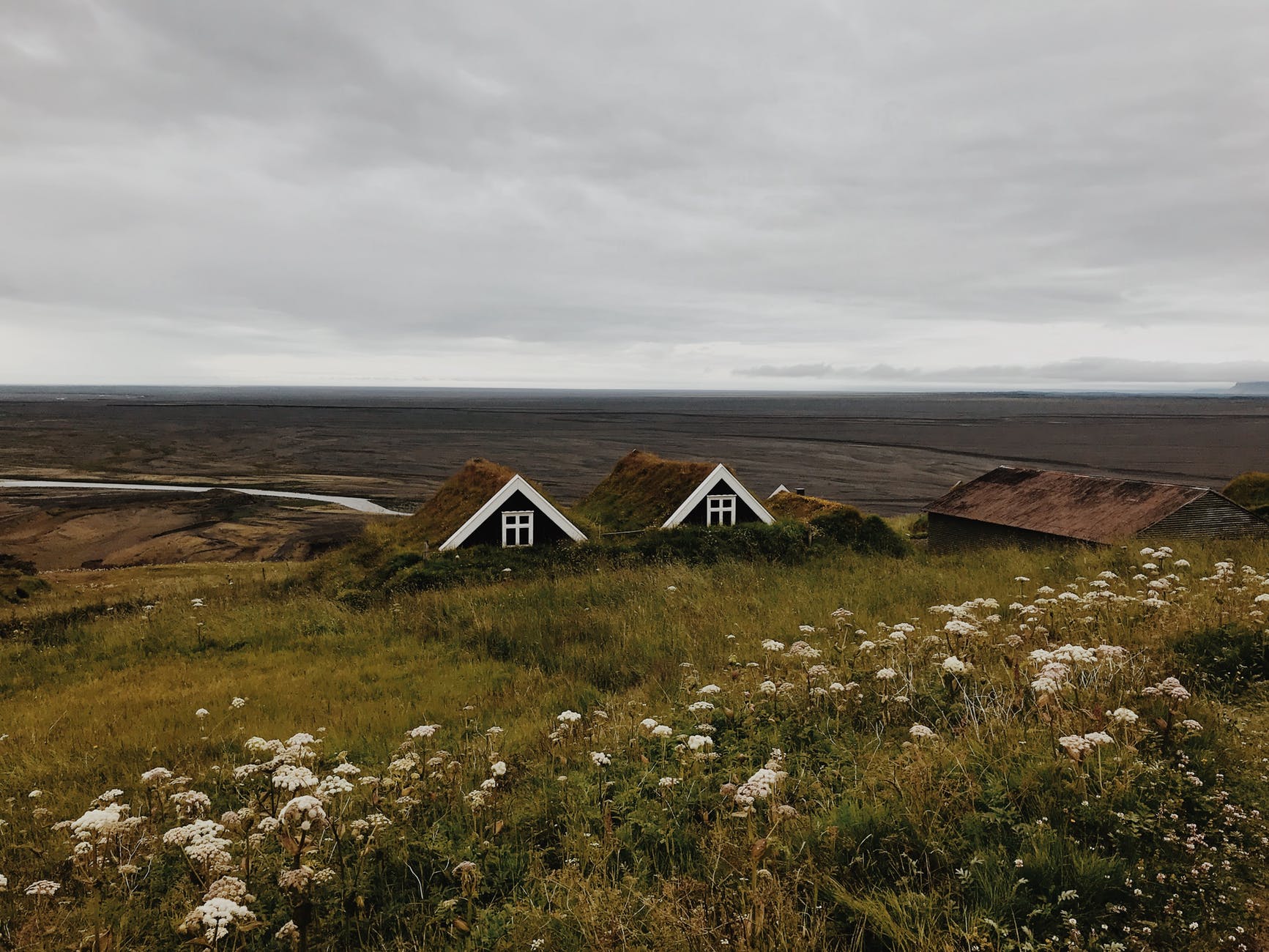 wooden houses in green field under white skies