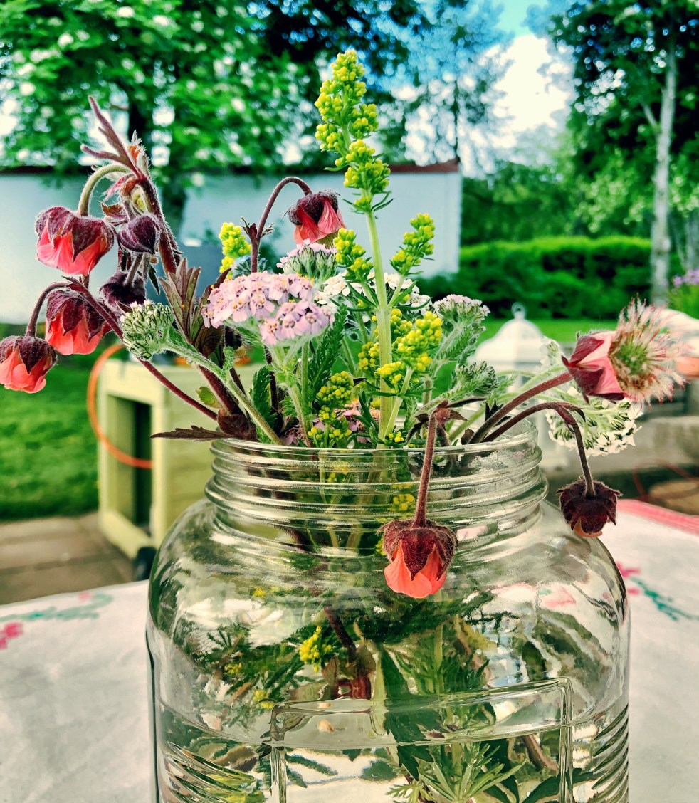 5D62AA55-24C3-470E-9747-35EDE03F4863